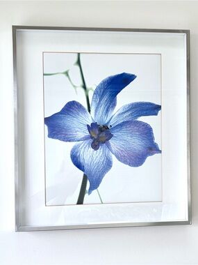 FABULOUS Floral Wall Art Print in Silver Frame